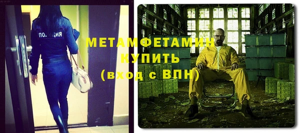 индика Снежногорск