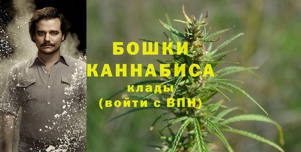 2c-b Абдулино