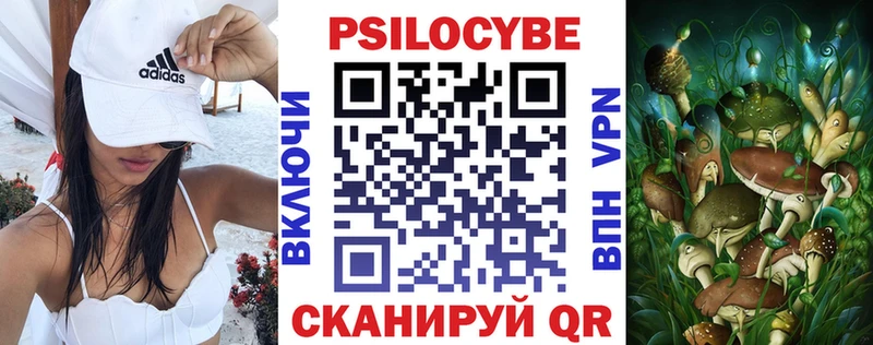 как найти закладки  мега ссылка  Псилоцибиновые грибы Psilocybe  Агрыз 